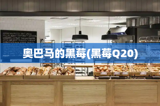 奥巴马的黑莓(黑莓Q20)-第1张图片-星选测评