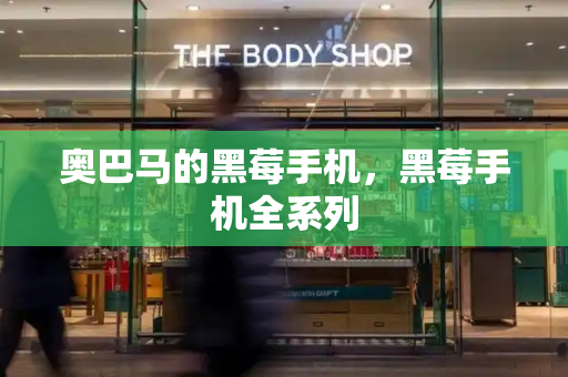 奥巴马的黑莓手机，黑莓手机全系列-第1张图片-星选测评