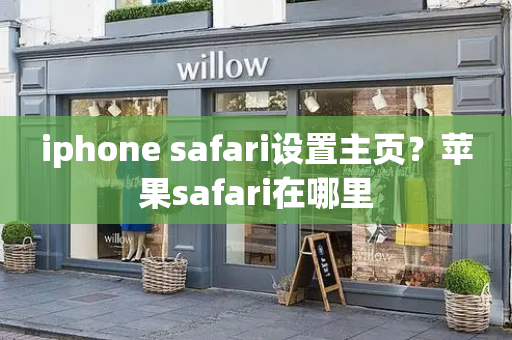 iphone safari设置主页？苹果safari在哪里