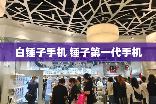 白锤子手机 锤子第一代手机-第1张图片-星选测评