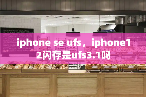 iphone se ufs，iphone12闪存是ufs3.1吗