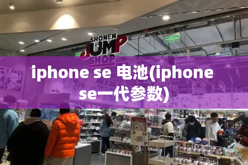 iphone se 电池(iphone se一代参数)