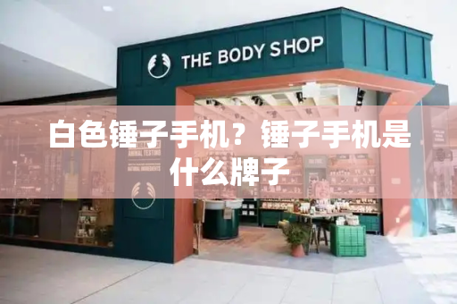 白色锤子手机？锤子手机是什么牌子-第1张图片-星选测评