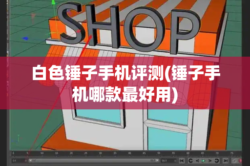 白色锤子手机评测(锤子手机哪款最好用)