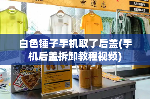 白色锤子手机取了后盖(手机后盖拆卸教程视频)