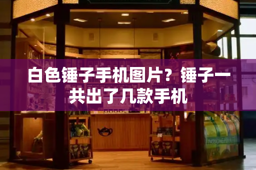 白色锤子手机图片？锤子一共出了几款手机-第1张图片-星选测评