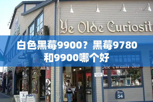 白色黑莓9900？黑莓9780和9900哪个好-第1张图片-星选测评