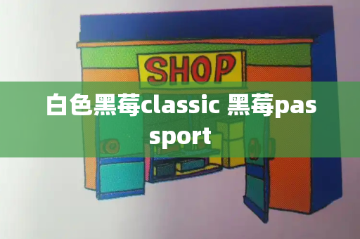 白色黑莓classic 黑莓passport