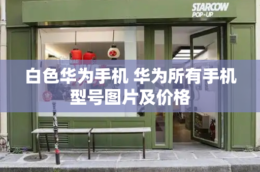 白色华为手机 华为所有手机型号图片及价格-第1张图片-星选测评