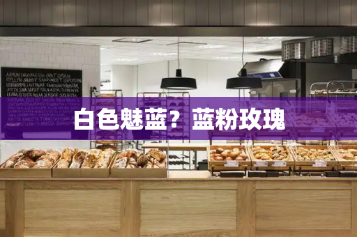 白色魅蓝？蓝粉玫瑰