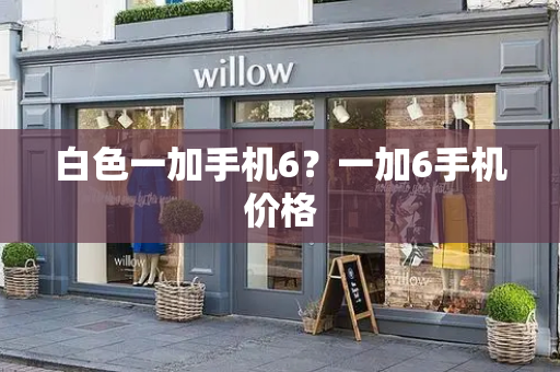 白色一加手机6？一加6手机价格