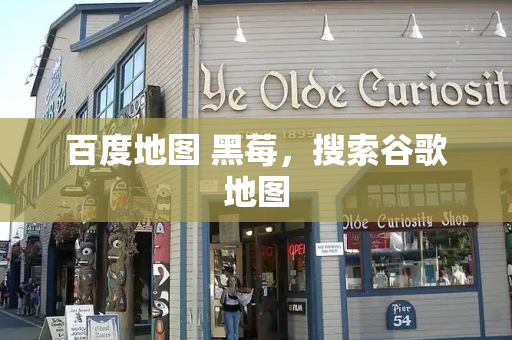 百度地图 黑莓，搜索谷歌地图-第1张图片-星选测评