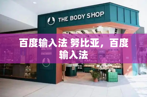 百度输入法 努比亚，百度输入法