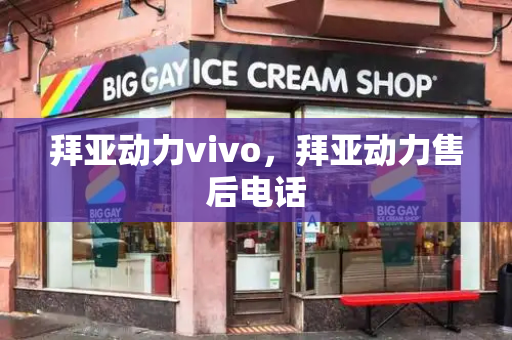 拜亚动力vivo，拜亚动力售后电话-第1张图片-星选测评