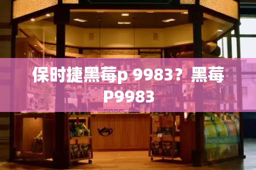 保时捷黑莓p 9983？黑莓P9983-第1张图片-星选测评