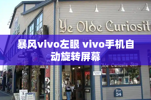 暴风vivo左眼 vivo手机自动旋转屏幕