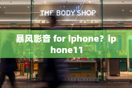 暴风影音 for iphone？iphone11-第1张图片-星选测评