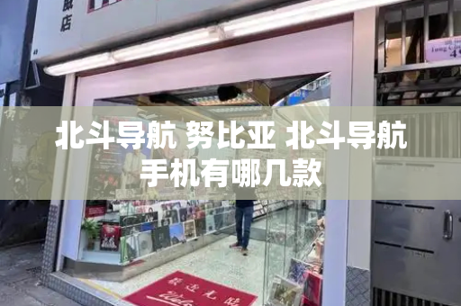 北斗导航 努比亚 北斗导航手机有哪几款