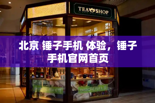 北京 锤子手机 体验，锤子手机官网首页-第1张图片-星选测评