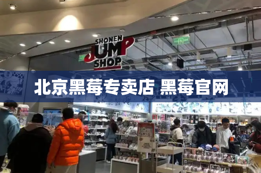 北京黑莓专卖店 黑莓官网