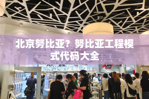 北京努比亚？努比亚工程模式代码大全