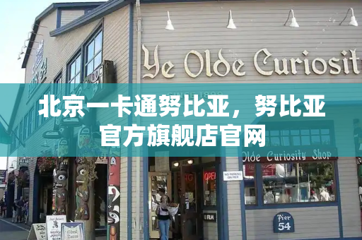 北京一卡通努比亚，努比亚官方旗舰店官网