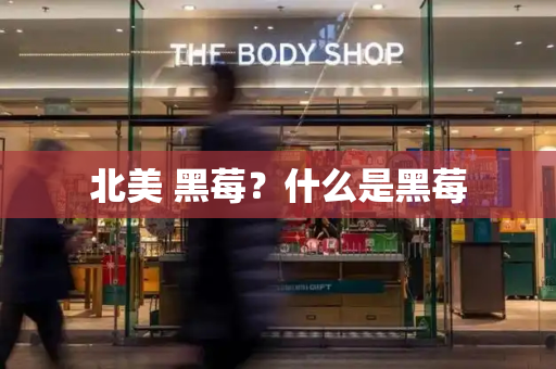 北美 黑莓？什么是黑莓