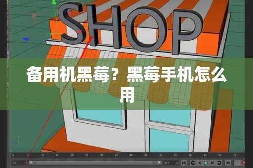 备用机黑莓？黑莓手机怎么用