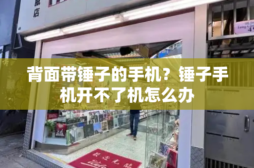 背面带锤子的手机？锤子手机开不了机怎么办-第1张图片-星选测评