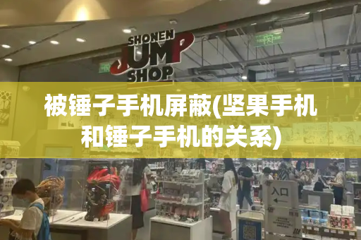 被锤子手机屏蔽(坚果手机和锤子手机的关系)-第1张图片-星选测评