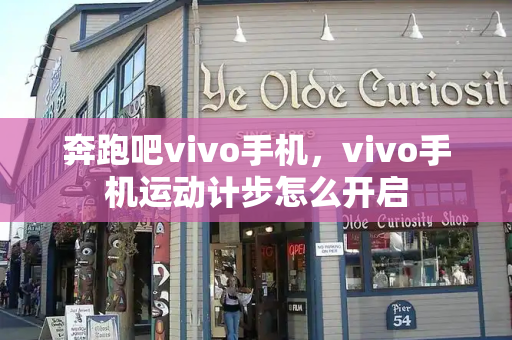 奔跑吧vivo手机，vivo手机运动计步怎么开启-第1张图片-星选测评