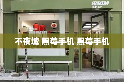 不夜城 黑莓手机 黑莓手机