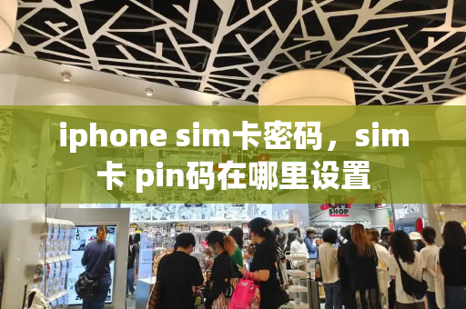 iphone sim卡密码，sim卡 pin码在哪里设置-第1张图片-星选测评