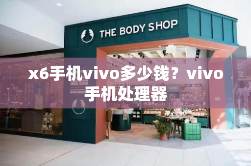 x6手机vivo多少钱？vivo手机处理器