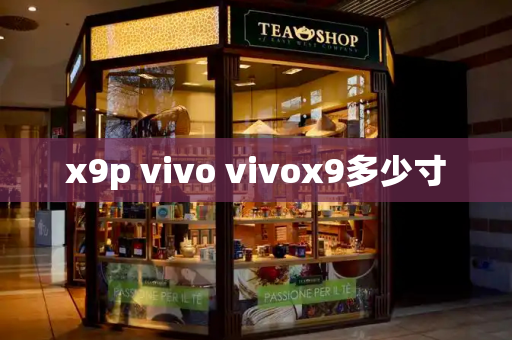 x9p vivo vivox9多少寸