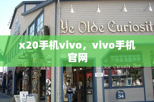 x20手机vivo，vivo手机官网