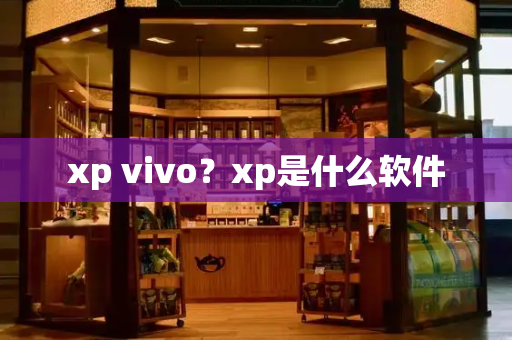xp vivo？xp是什么软件