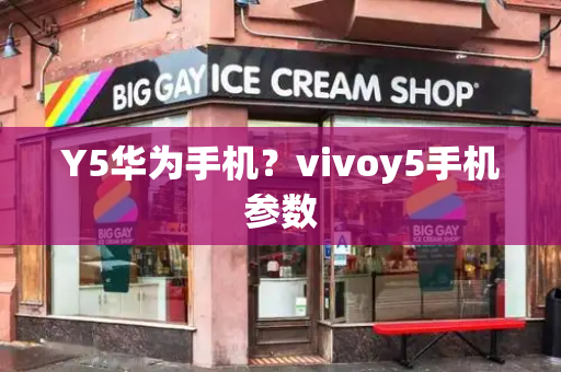 Y5华为手机？vivoy5手机参数-第1张图片-星选测评