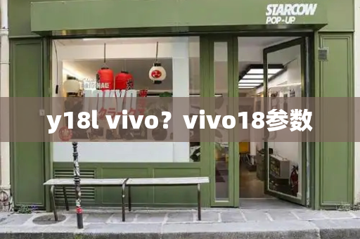 y18l vivo？vivo18参数