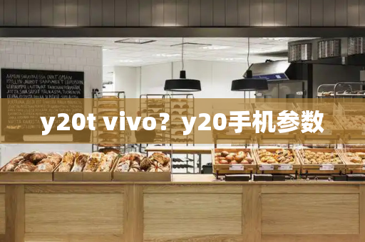 y20t vivo？y20手机参数