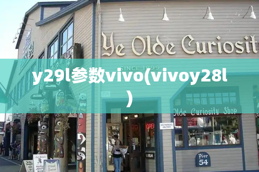y29l参数vivo(vivoy28l)