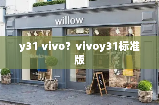 y31 vivo？vivoy31标准版