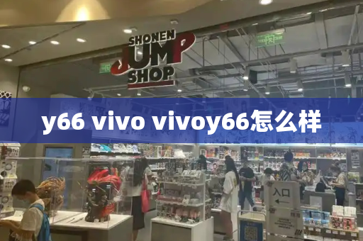 y66 vivo vivoy66怎么样