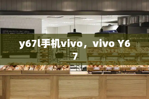 y67l手机vivo，vivo Y67-第1张图片-星选测评