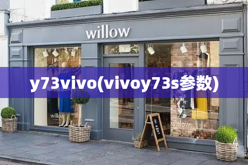y73vivo(vivoy73s参数)-第1张图片-星选测评