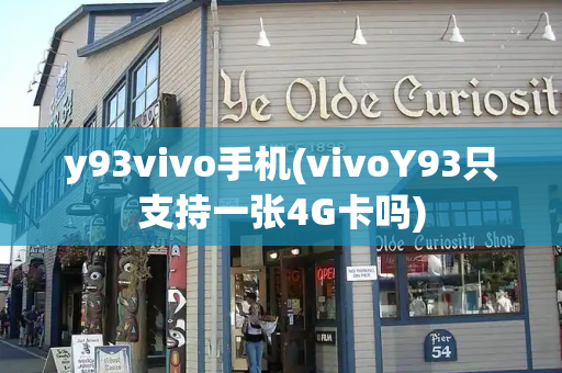 y93vivo手机(vivoY93只支持一张4G卡吗)-第1张图片-星选测评