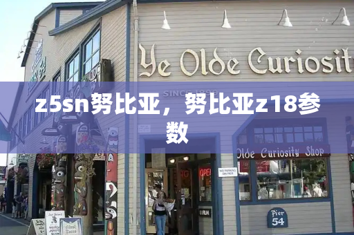 z5sn努比亚，努比亚z18参数
