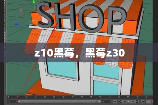 z10黑莓，黑莓z30