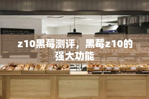 z10黑莓测评，黑莓z10的强大功能-第1张图片-星选测评