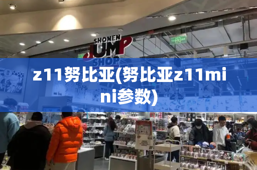 z11努比亚(努比亚z11mini参数)